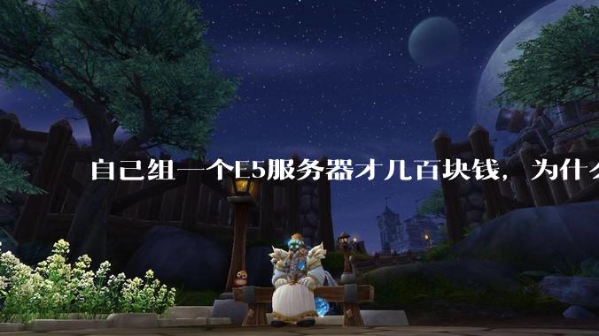 自己组一个E5服务器才几百块钱，为什么去阿里云租这么贵?