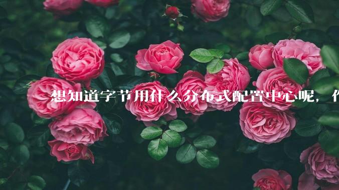 想知道字节用什么分布式配置中心呢，作为golang大厂，应该不是沿用JAVA的配置中心吧?