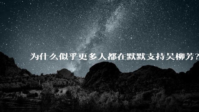 为什么似乎更多人都在默默支持吴柳芳？管晨辰是否做错了？