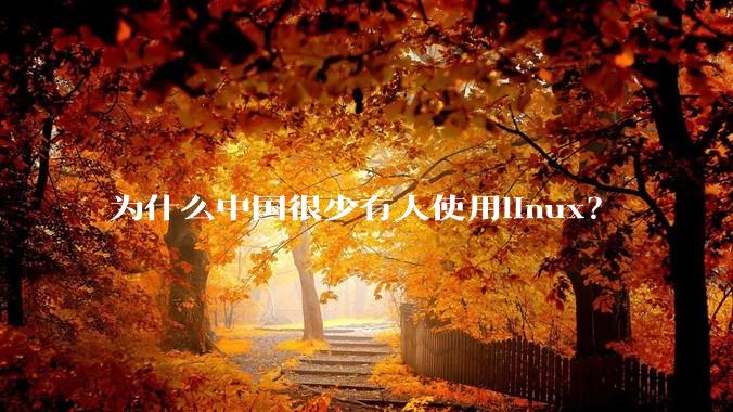 为什么中国很少有人使用linux？