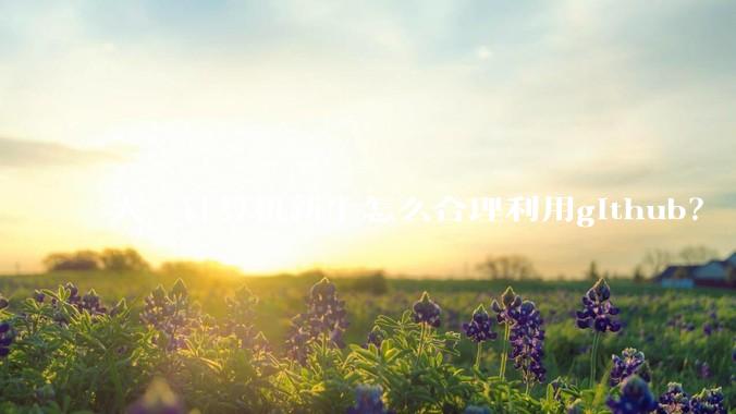 大一计算机新生怎么合理利用github？