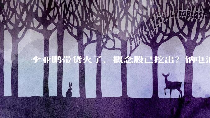 李亚鹏带货火了，概念股已挖出？钠电池即将规模化应用，这9股业绩预增_公司_备受市场关注_技术