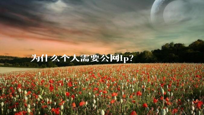 为什么个人需要公网ip？
