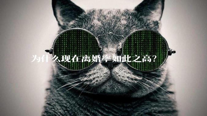 为什么现在离婚率如此之高？