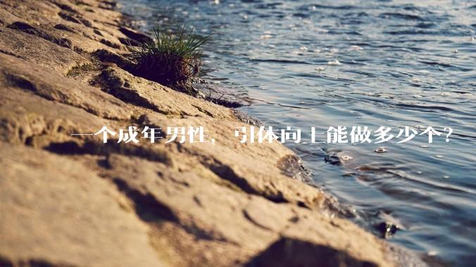 一个成年男性，引体向上能做多少个？