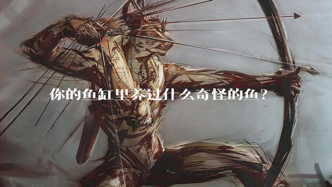 你的鱼缸里养过什么奇怪的鱼？