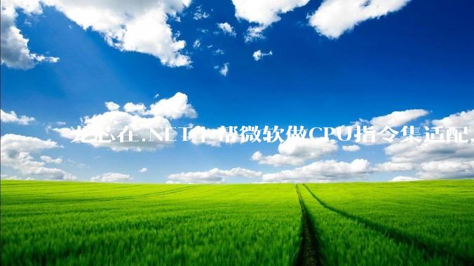 龙芯在.NET上帮微软做CPU指令集适配，为什么到国内.NET开发者这里成了维护龙芯.NET版本?