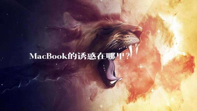 MacBook的诱惑在哪里？