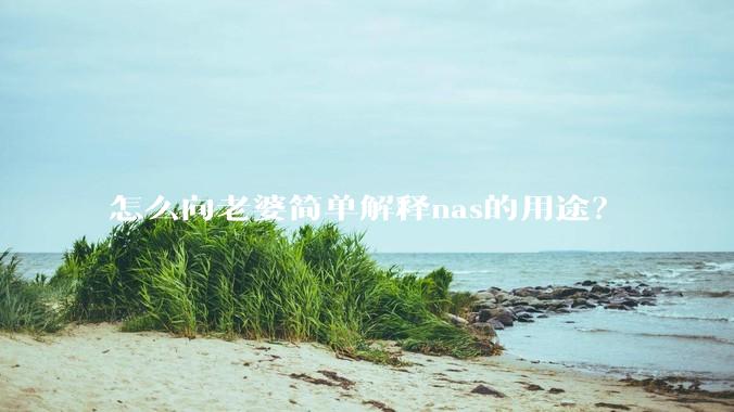 怎么向老婆简单解释nas的用途？