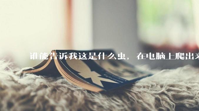 谁能告诉我这是什么虫，在电脑上爬出来吓死我了 ?