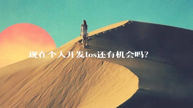 现在个人开发ios还有机会吗？